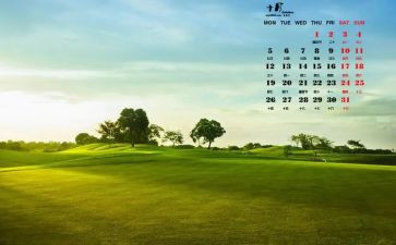10月公司工作总结6篇