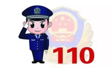 110民警工作总结8篇