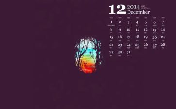 2024年12月心得体会最新8篇