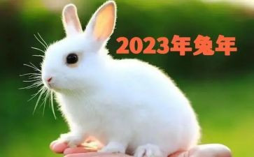 2023的中国演讲稿参考5篇