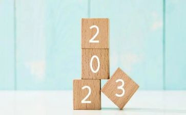 2023妇委工作总结8篇