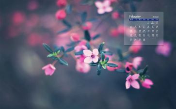教师2月工作计划6篇