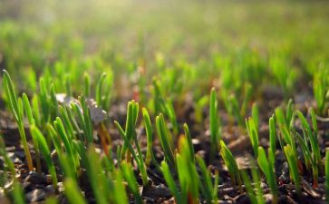 3月12日活动方案5篇