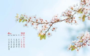 爱国卫生4月份工作总结6篇