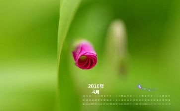幼儿小班4月份工作计划5篇