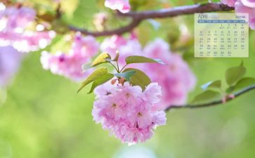 4月保洁工作总结6篇