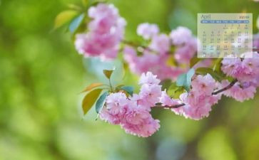 班级4月工作总结6篇