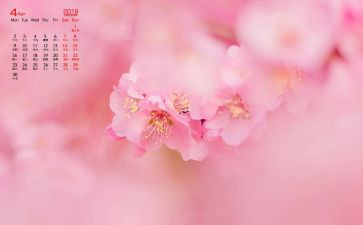 幼儿小班4月份工作计划7篇