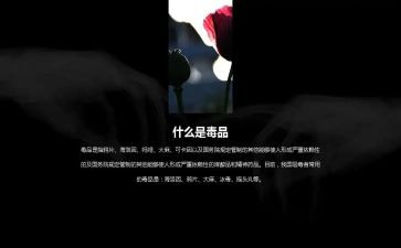 626禁毒活动策划6篇