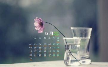 6月工作总结5篇