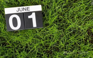 6月工作总结参考7篇