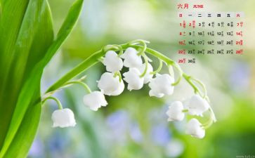 6月护理工作计划8篇
