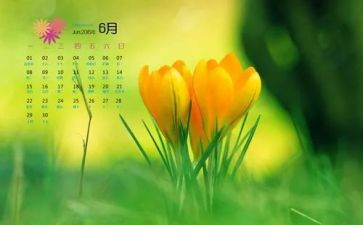 小班6月工作计划8篇