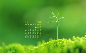 6月工作总结模板6篇