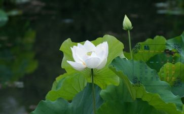 安全6月工作计划7篇