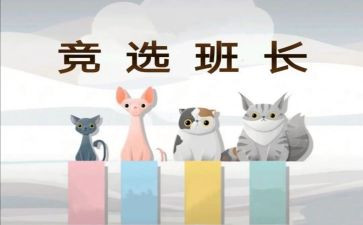 2024年班长班级工作总结最新8篇