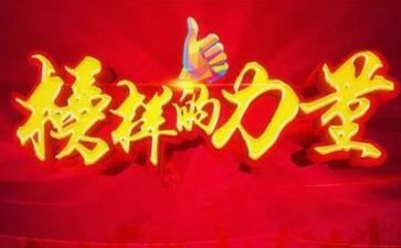 榜样了心得体会精选5篇