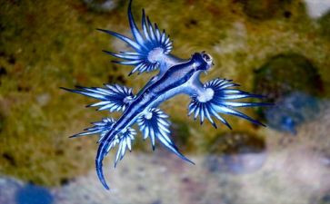 2024年生物实验室工作总结模板5篇