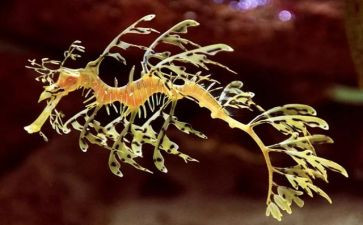 生物工作计划初二上学期6篇