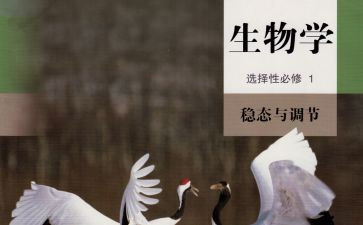初一生物组工作计划6篇