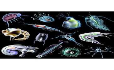 生物青年教师工作计划5篇