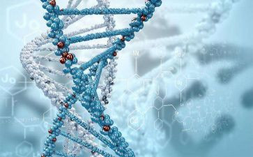 生物实验教师工作总结7篇