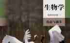 2024年生物实验室工作总结5篇