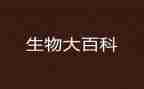 生物实验室组工作总结8篇