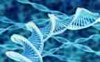 生物实验心得体会精选7篇