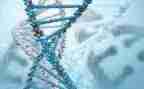 生物实验教师工作总结7篇