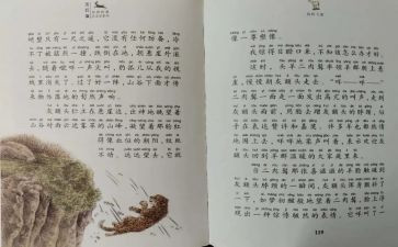 斑羚飞渡作文8篇