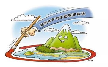 野生动物保护作文模板6篇
