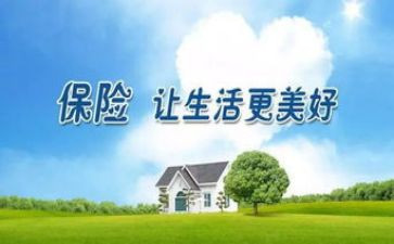 保险工作总结和工作计划7篇