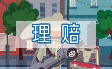 保险公司年度个人总结8篇