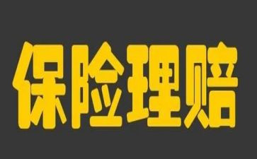 2024保险公司年终总结报告8篇
