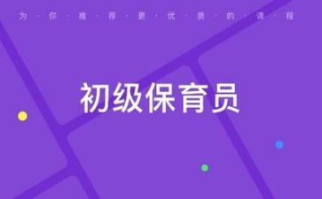 2024年保育心得体会范文5篇