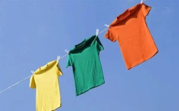 不一样的美作文600字优秀7篇