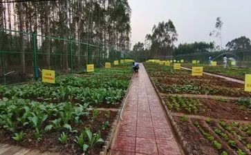 湘菜餐厅工作计划范文8篇