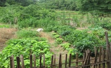 菜根谭的心得体会8篇