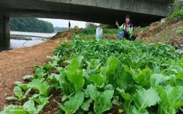 湘菜调查报告范文推荐8篇