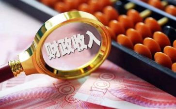 财政所半年度工作总结5篇