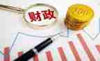 2024年财政所述职报告范文6篇