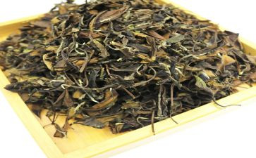 茶活动讲话稿6篇