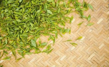 茶企业调研心得体会5篇