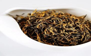 茶的自述作文通用7篇