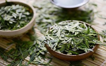 茶的演讲稿总结最新5篇