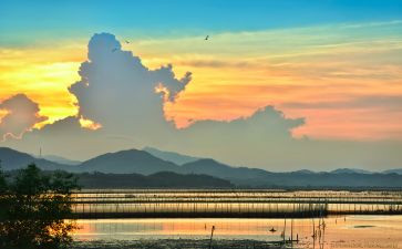 朝夕拾花读后感五百字7篇