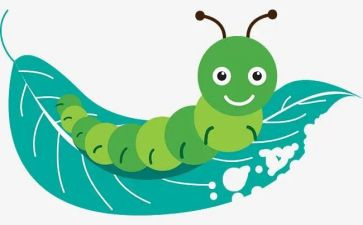 虫子的教案6篇