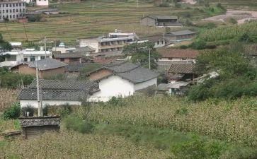 村就业工作计划最新6篇