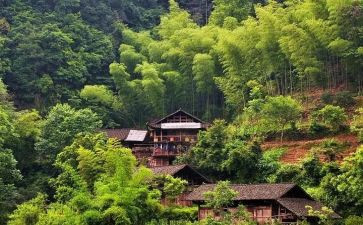 农村演讲稿6篇